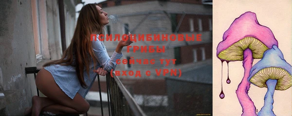 apvp Баксан