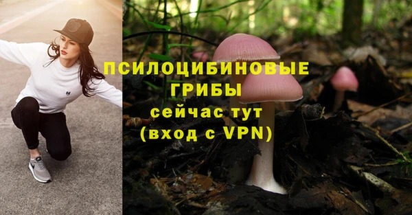 PSILOCYBIN Балахна