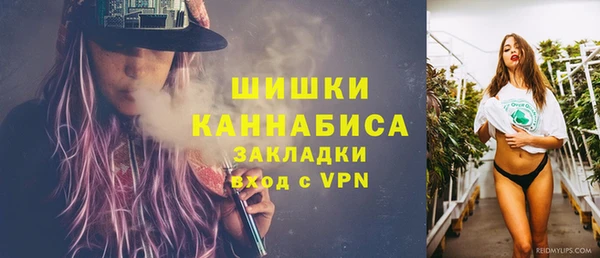 PSILOCYBIN Балахна