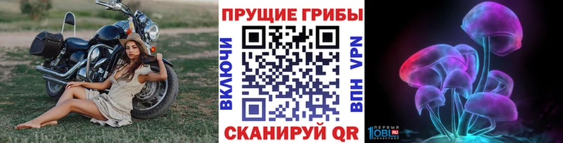 Псилоцибиновые грибы Magic Shrooms  Кочубеевское 
